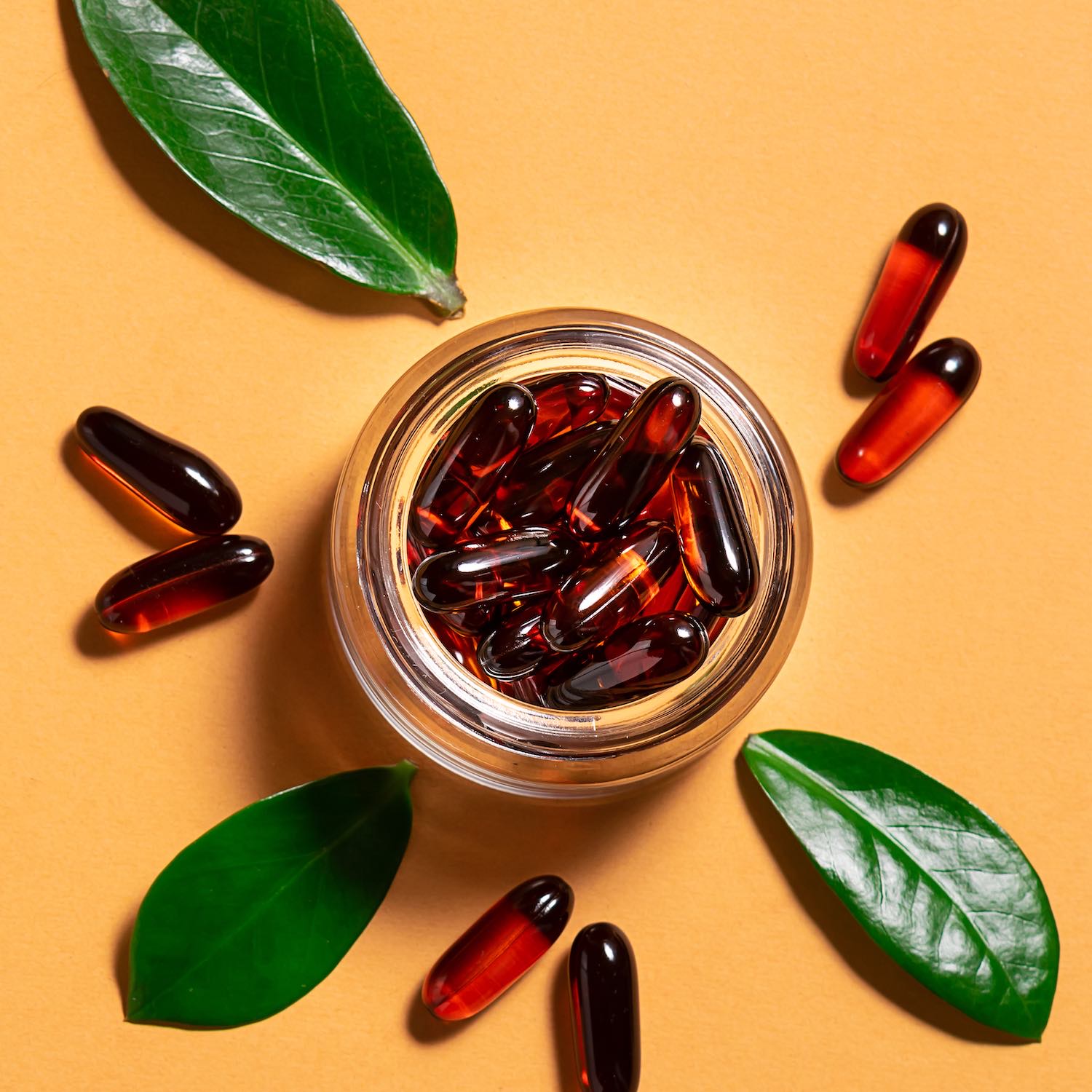 Fleur de Bach pharmacie des claires